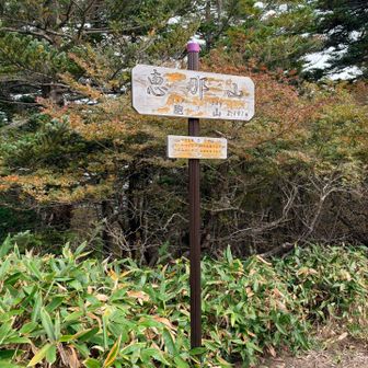 山頂⛰️
眺望ゼロ😅