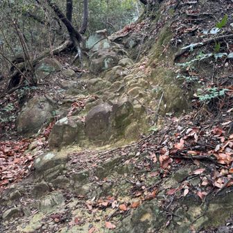紀泉アルプス・飯盛山・ボンデン山 岩だらけ🤣
鎖⛓️もあって、なかなか楽しい😁