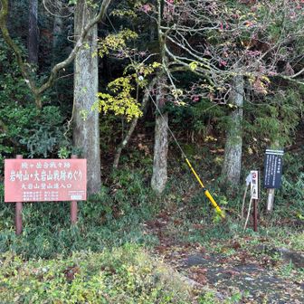 ここが登山口
結構本格的な登りです