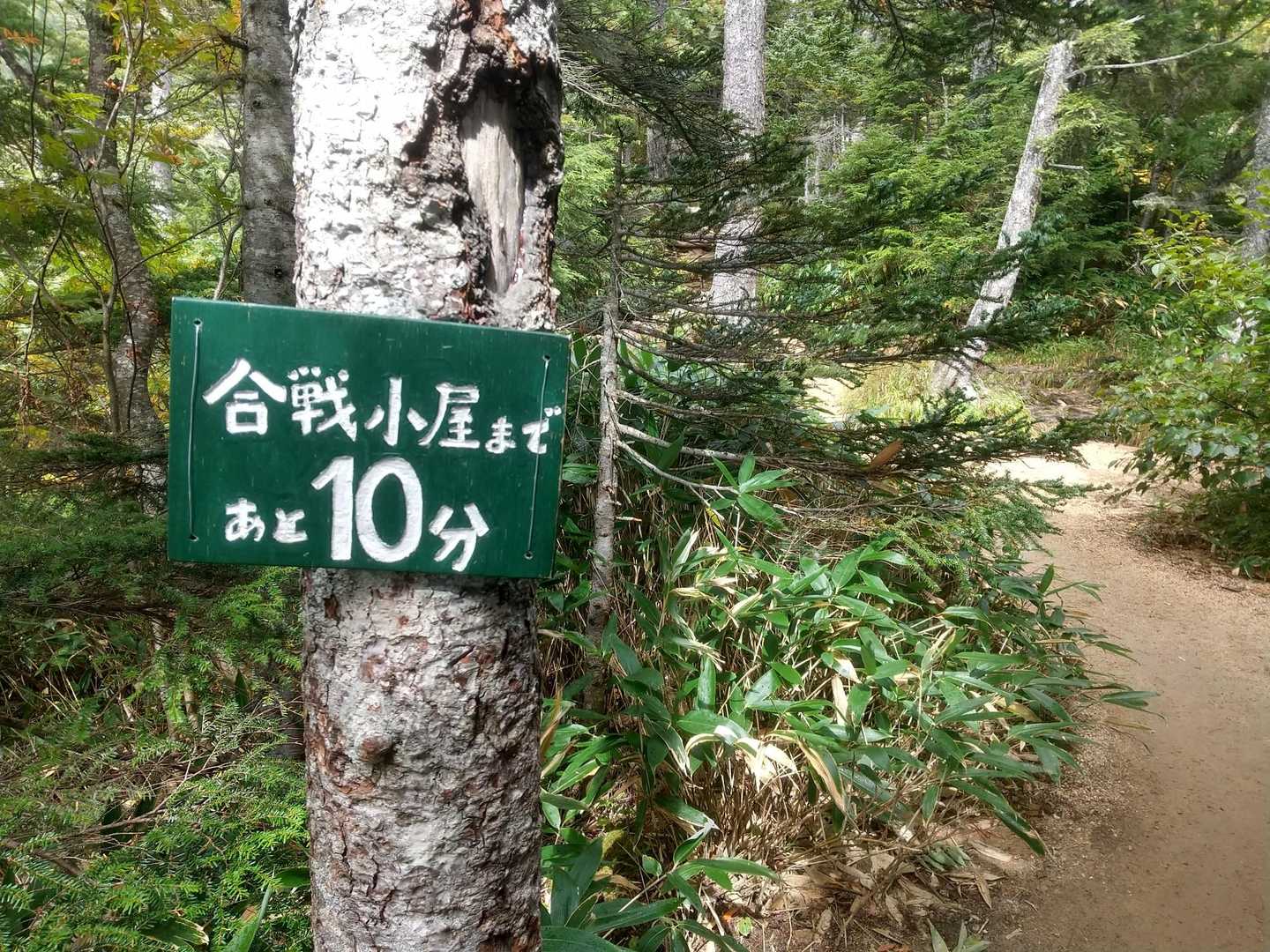 第三ベンチ、富士見ベンチでも休憩して🍵
やっと励ましのプレート発見