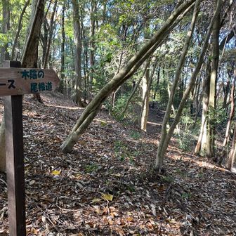 ちょい行ってみますか😊
と行きかけましたが