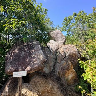 田中山登山口からココまで
枝をブンブン振り回して🕷️道なき道で辿り着いたので写真どころでは無かった…😭😭

もぉーーー怖かったぁぁーーー🕷️😭😭😭