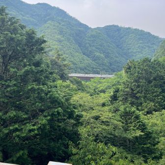 橋から駅に🚉停まっている電車がいい感じです。