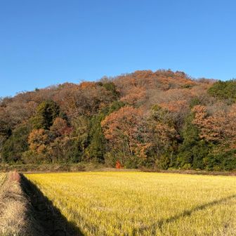楽しかった！
少しずつ、復活！また、みんなで行こうね。