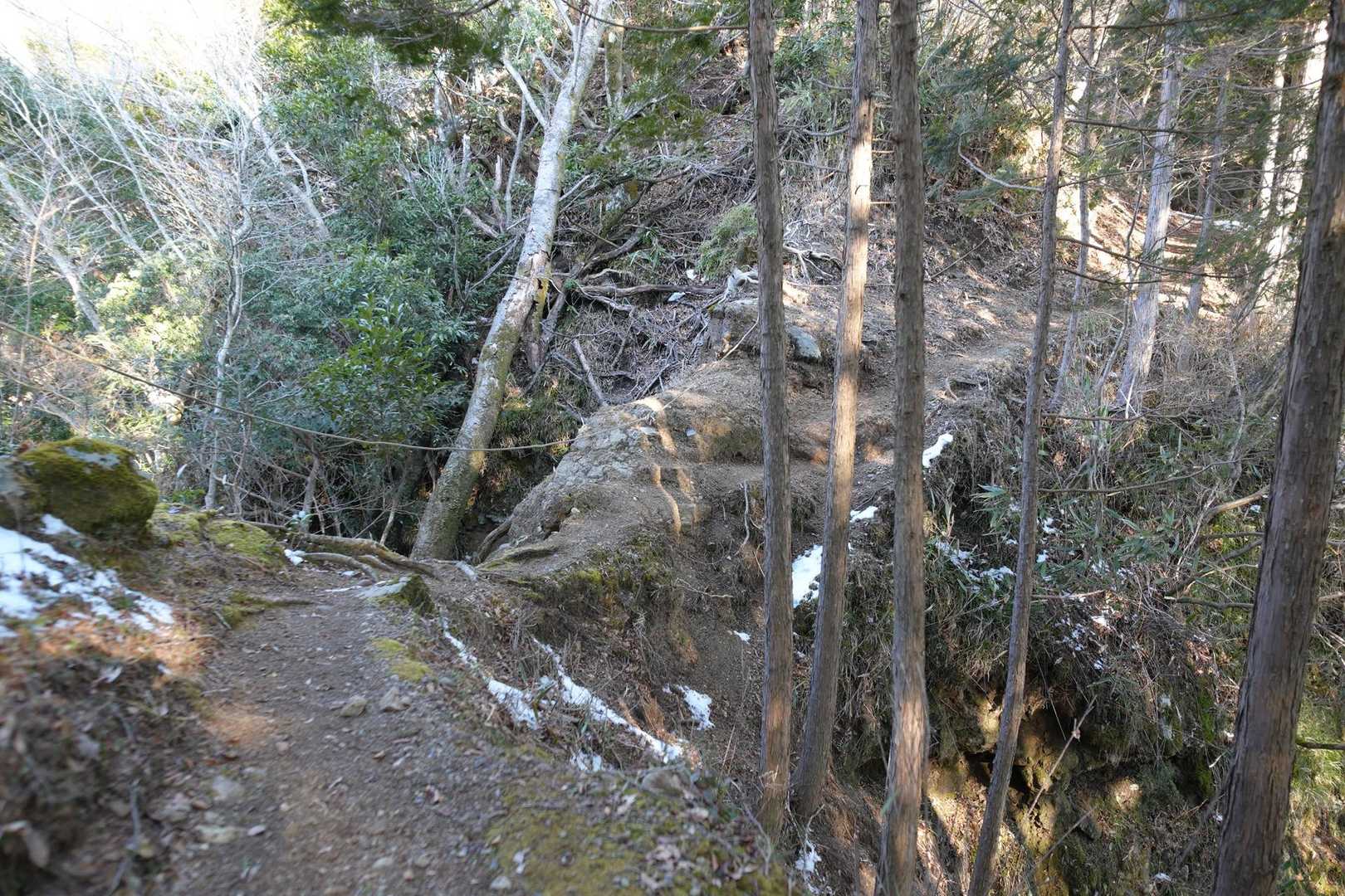 少し細尾根