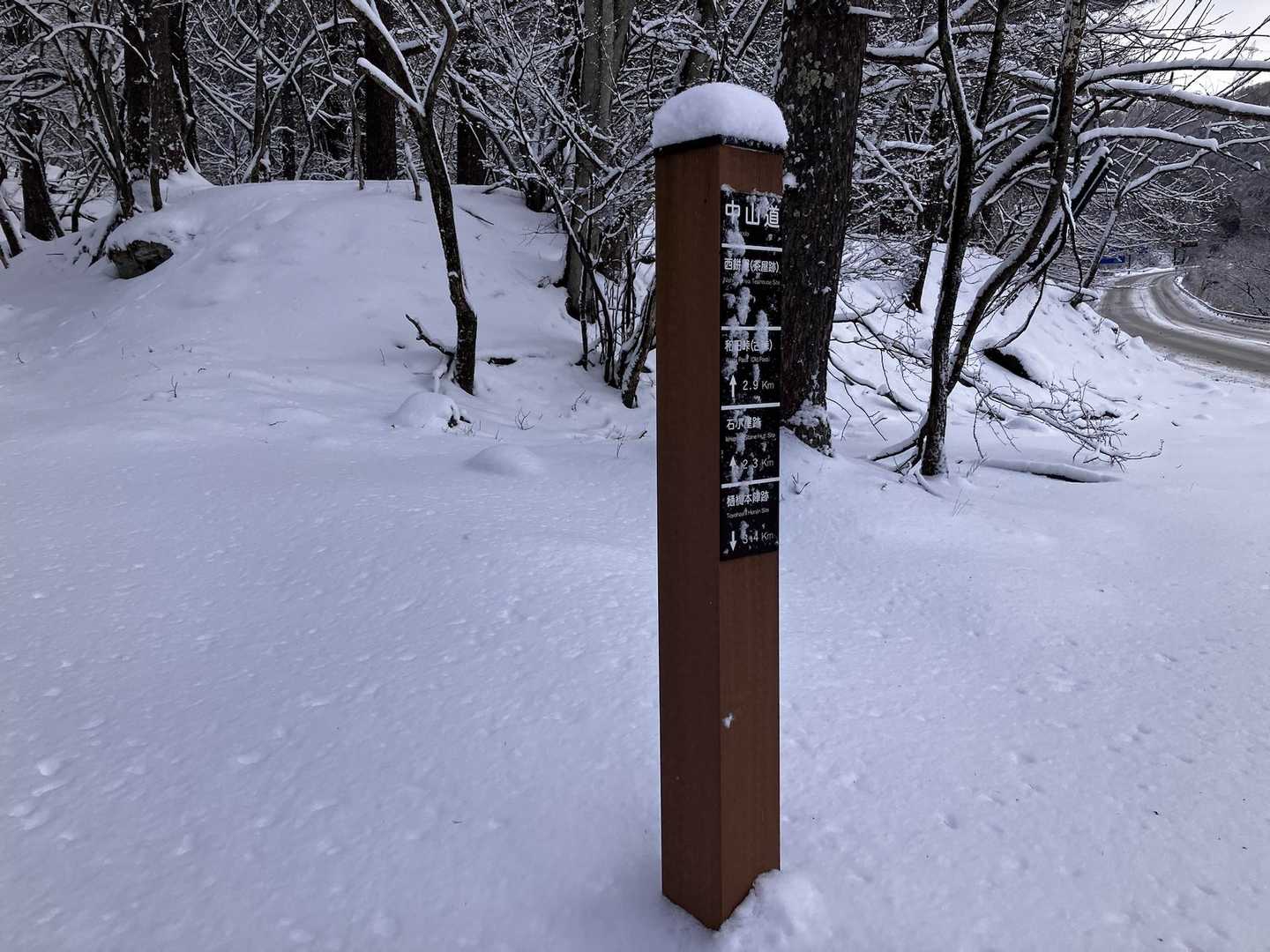 気を取り直して一年振りにここからスタート。
