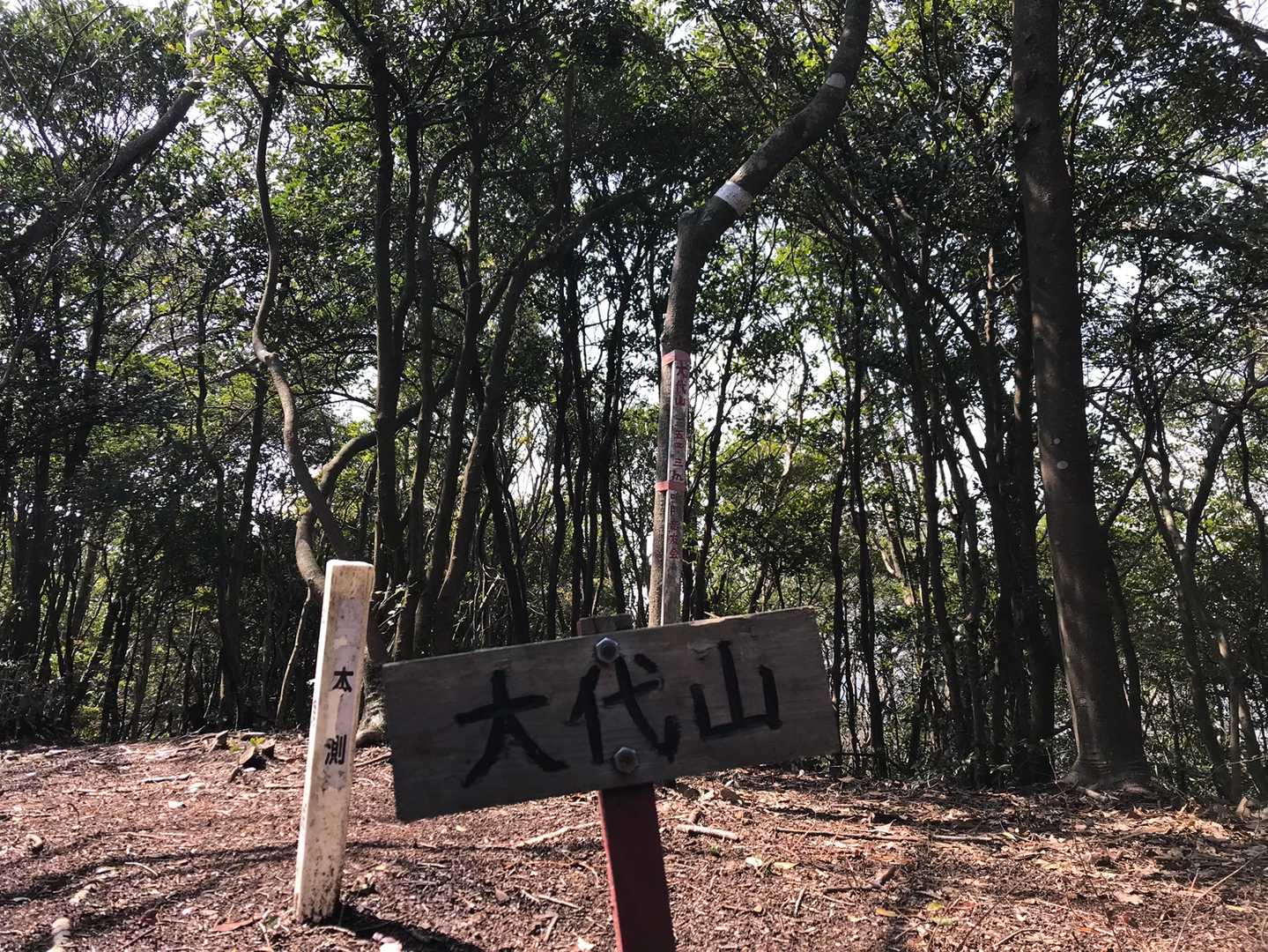やっととーちょー😀　