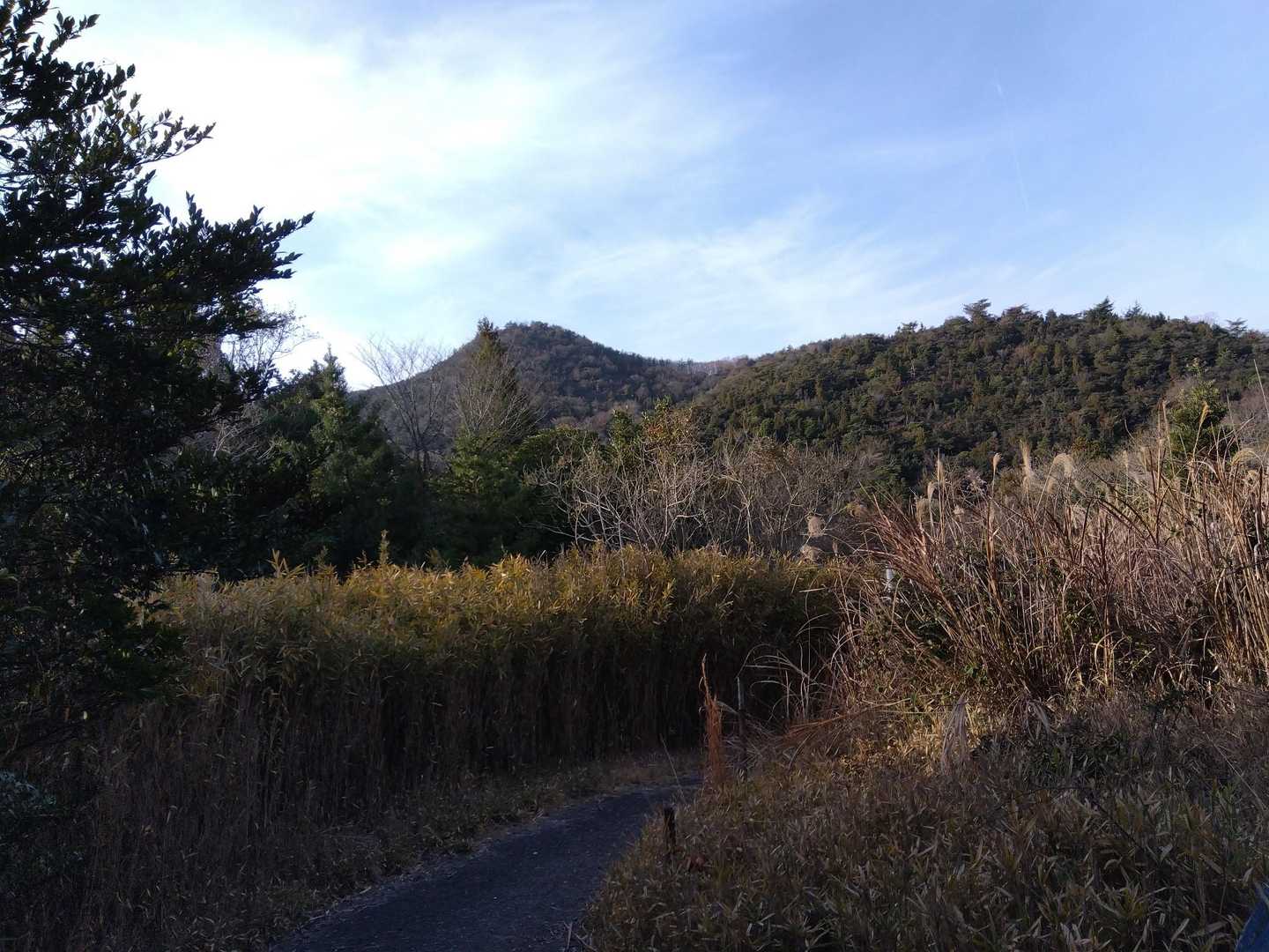 妙見山
