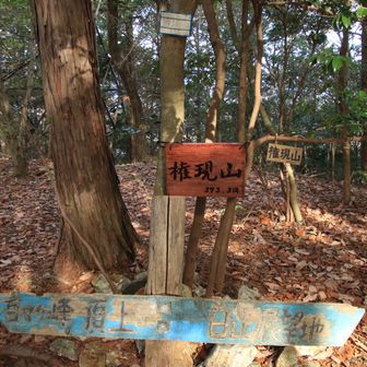 権現山⛰️山頂到着🥾