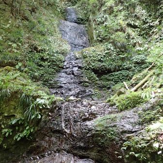 栄滝４０ｍ
水量少なめ