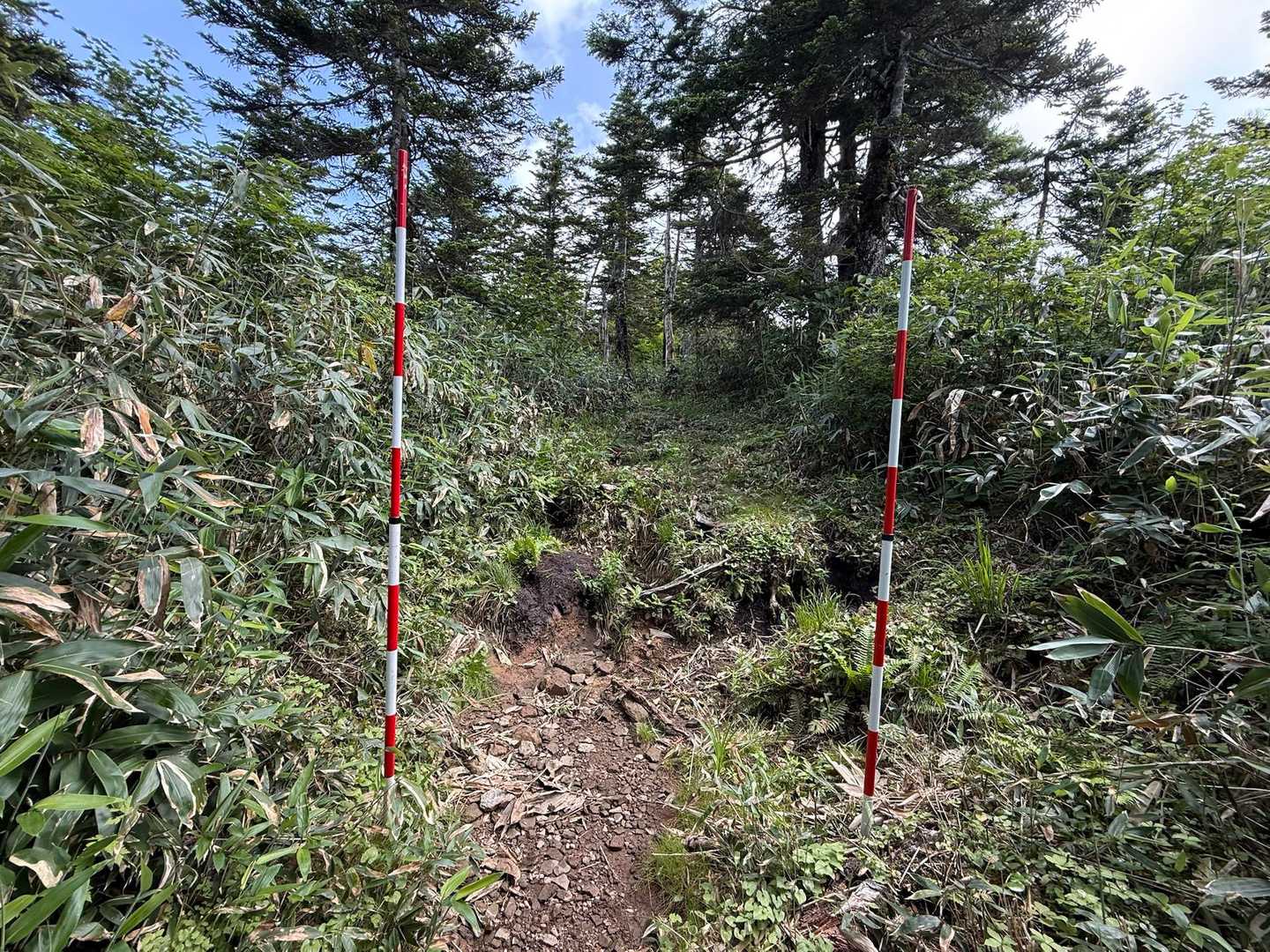 寺地山 往復コースの写真