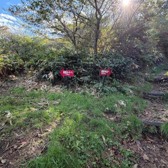 登りは熊野神社コースへ
ここから頂上まで約20分
