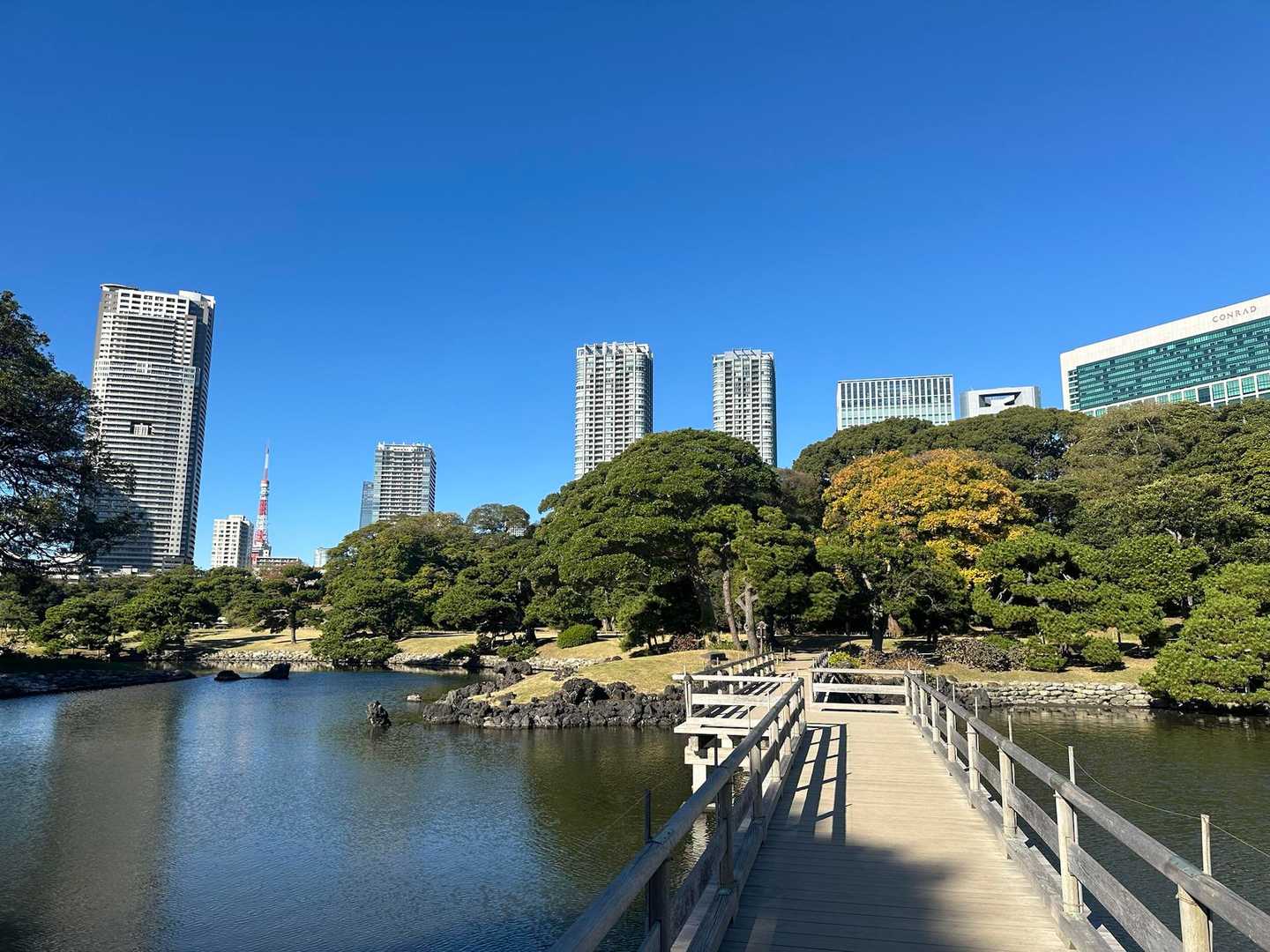 東京タワー🗼