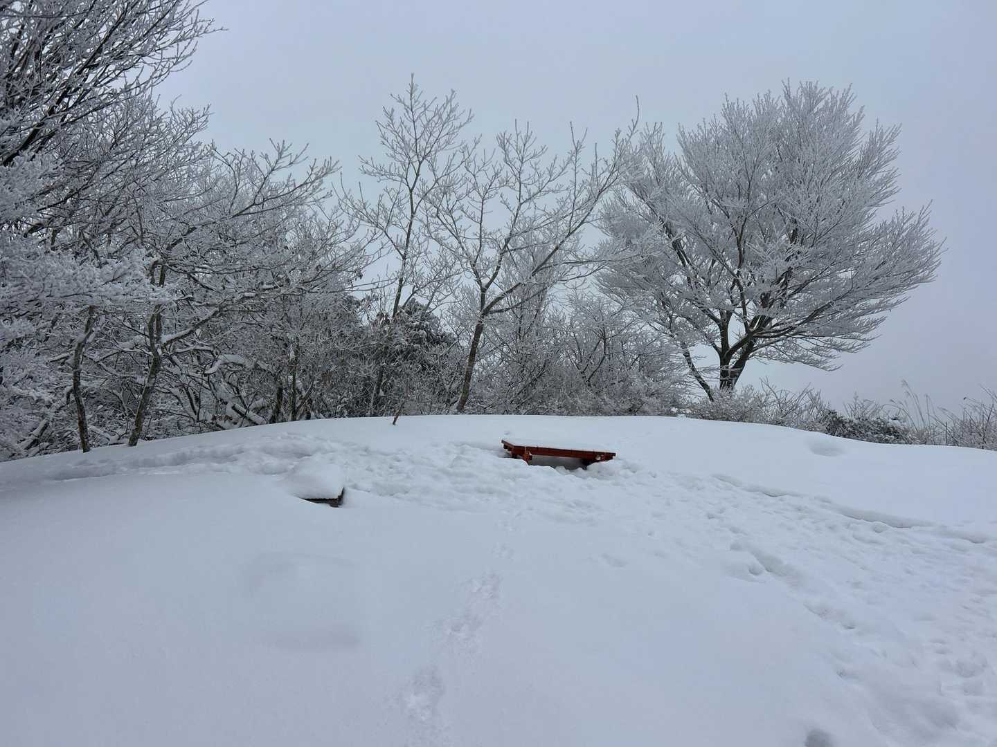 山頂のベンチも雪の下