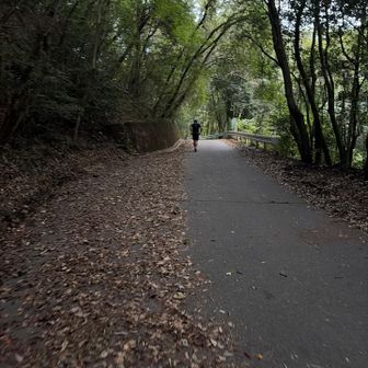 薄暗い中スタート
第一駐車場は満杯でしたがなんとか停められました
なんとか、というのにはワケがある🤔

そして登山口までのアスファルトが地獄のように長い