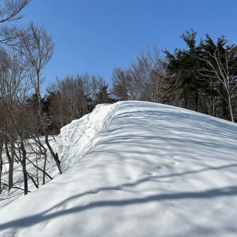 あの上まで行ってみましたが•••
眺望は？