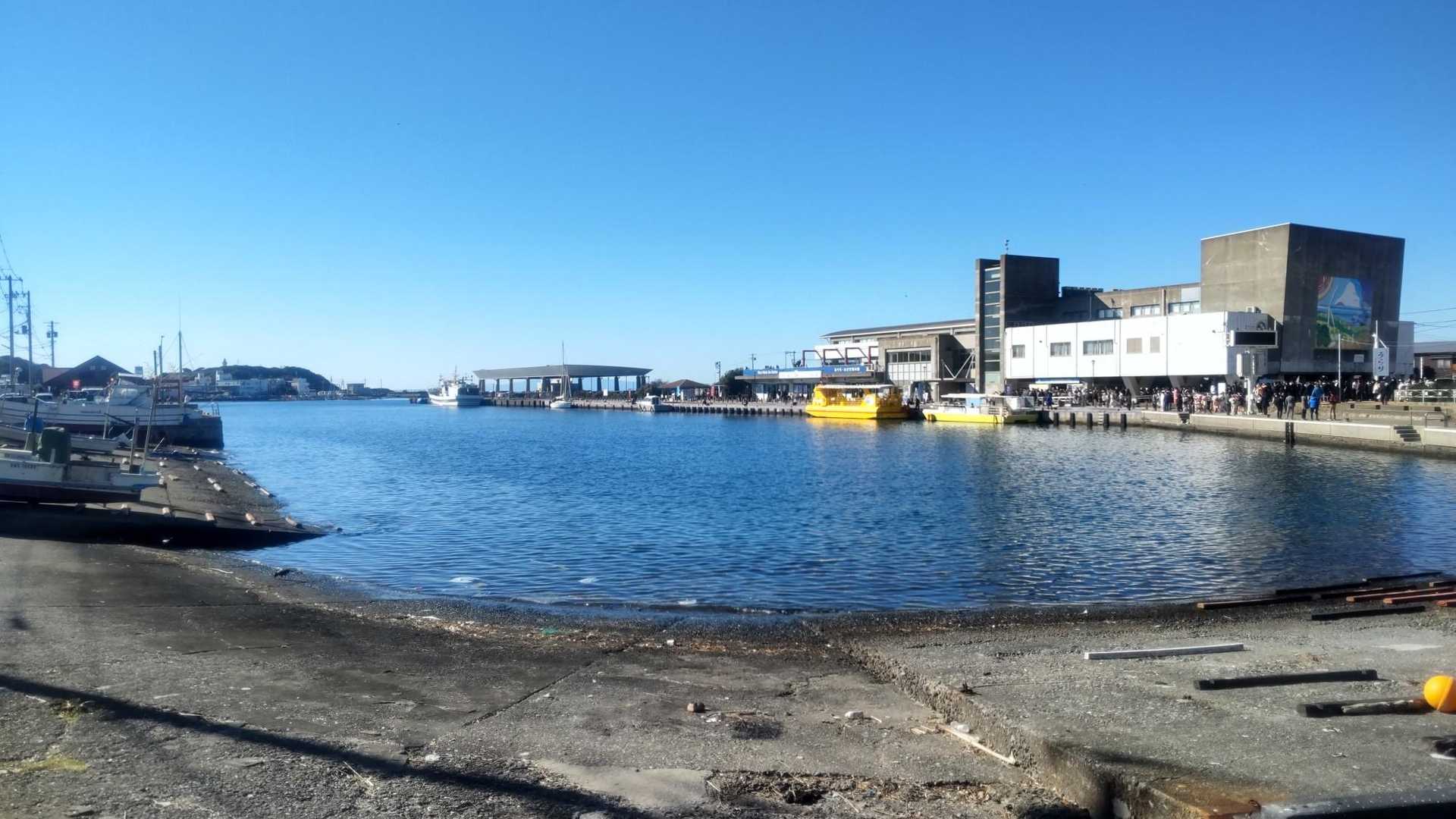 なので急いでトコトコ👣
三崎港に到着〜🐟️
では急いでお店探さねは(； ･`ω･´)🔎