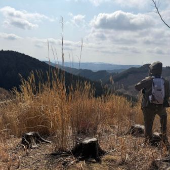 まぁ撮るよね😁
でもインパクトに欠ける