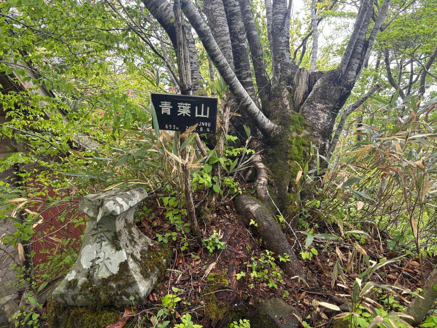 青葉山東峰に到着！