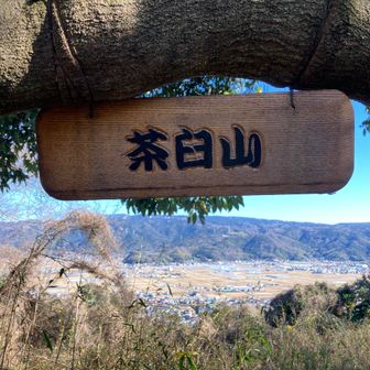 唯一の写真がこれ笑