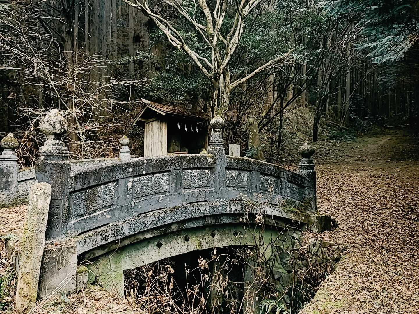 鷲子山上神社-鷲子山 往復コースの写真