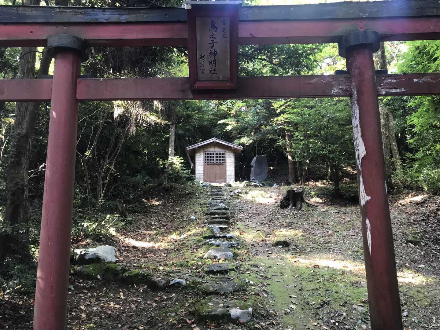思っていたより暑かった