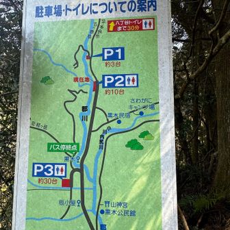 P2がベストかな