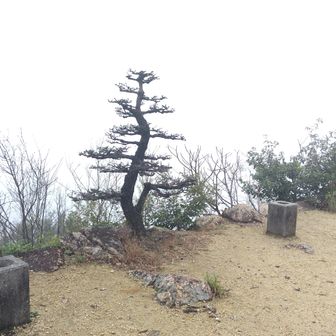 笠松山頂、眺望はゼロ