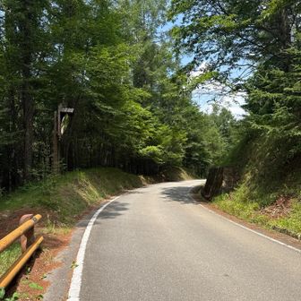 舗装道路に出たら、あと少し！
けど暑い💦