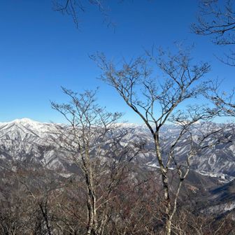 木に隠れちゃってますが、武尊山も見えました。