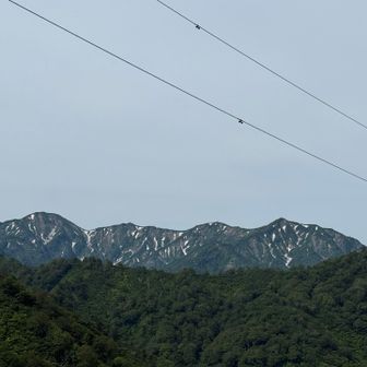 新潟の山が見えていますﾊﾟｼｬｯ! Σp[【◎】]ω･´)

毛猛山塊（けもうさんかい）のようです
調べたら残雪期❄️とかに登る山なんですねー
そして、正規の登山ルートがない😇
色んな山があるもんだなー