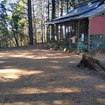 広めの山頂ですが、眺望はなく、ベンチ等もありませんでした。
