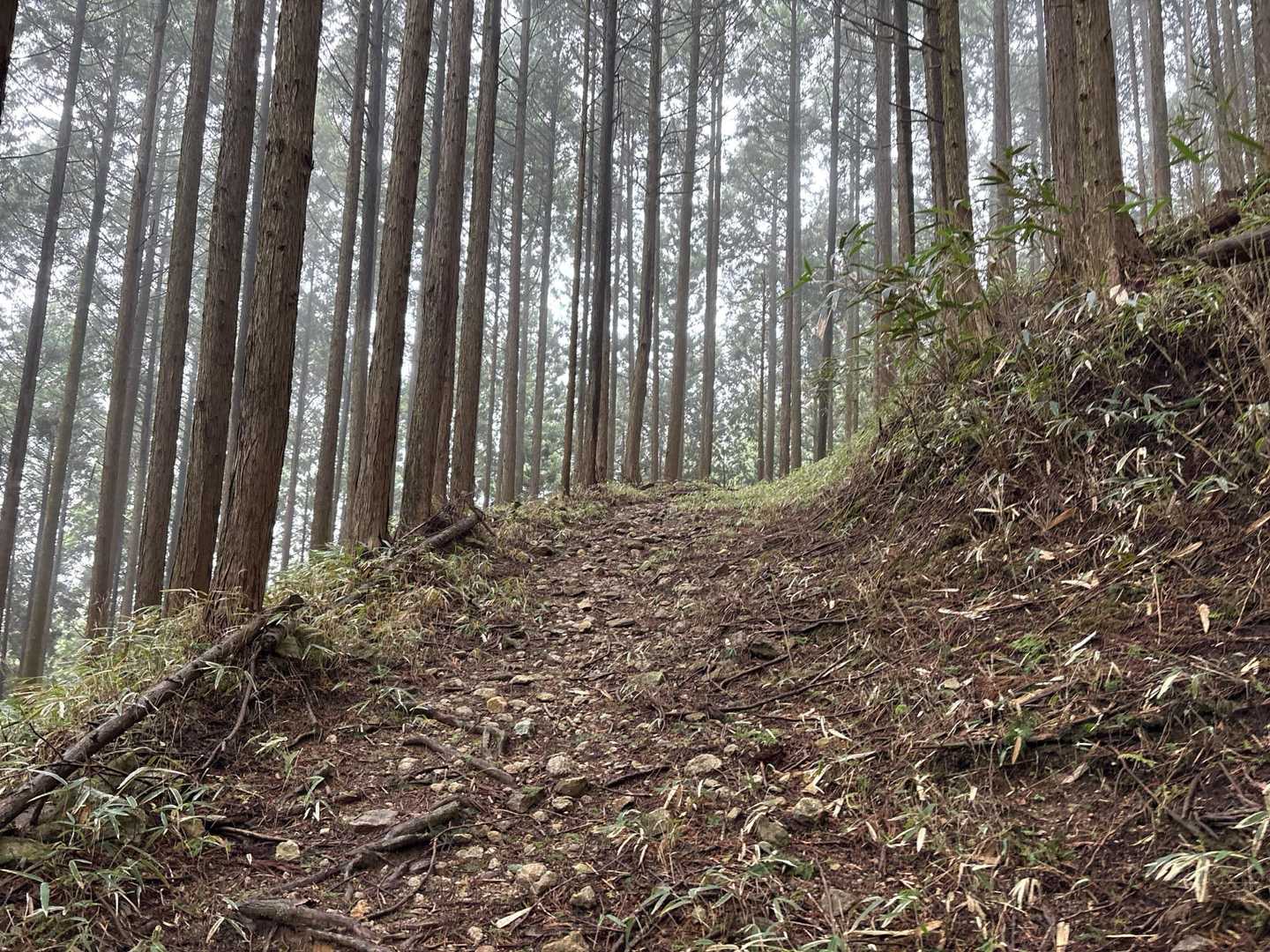 登り返ししんどい😓