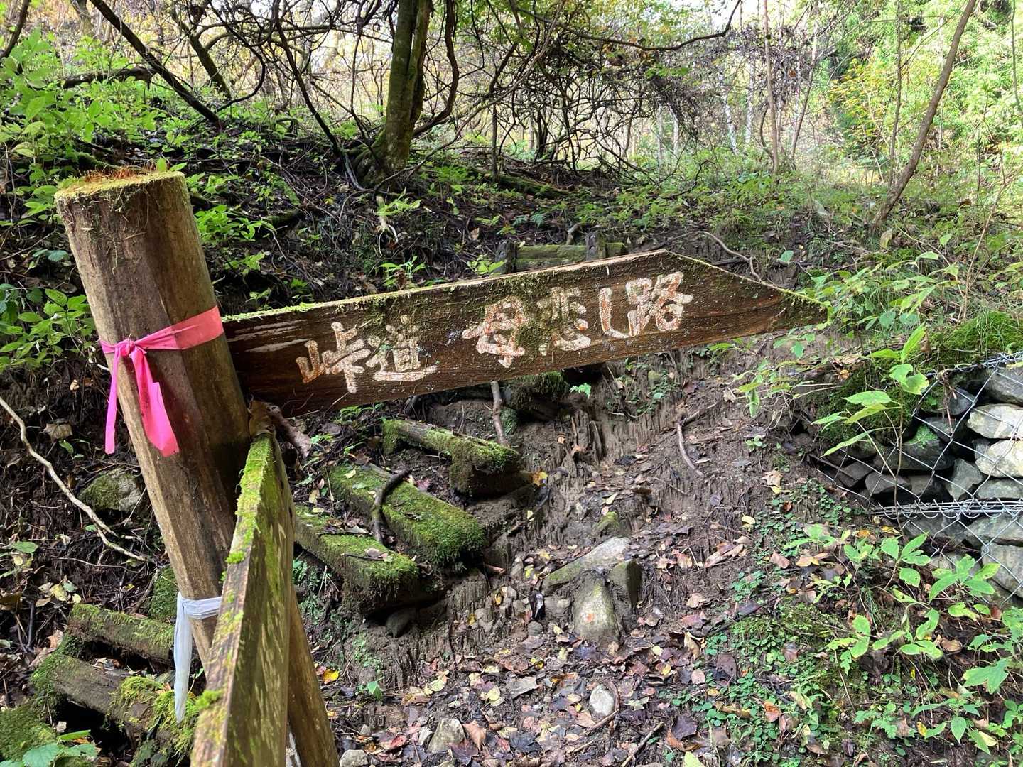 母恋し路は下山で、