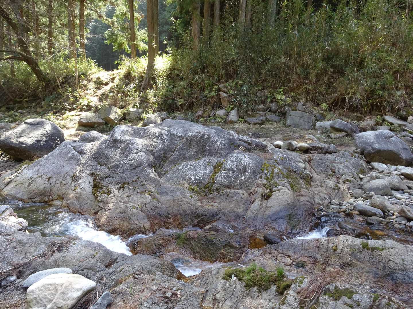 この辺のコースは曖昧なのでそれらしいのを探す必要があります