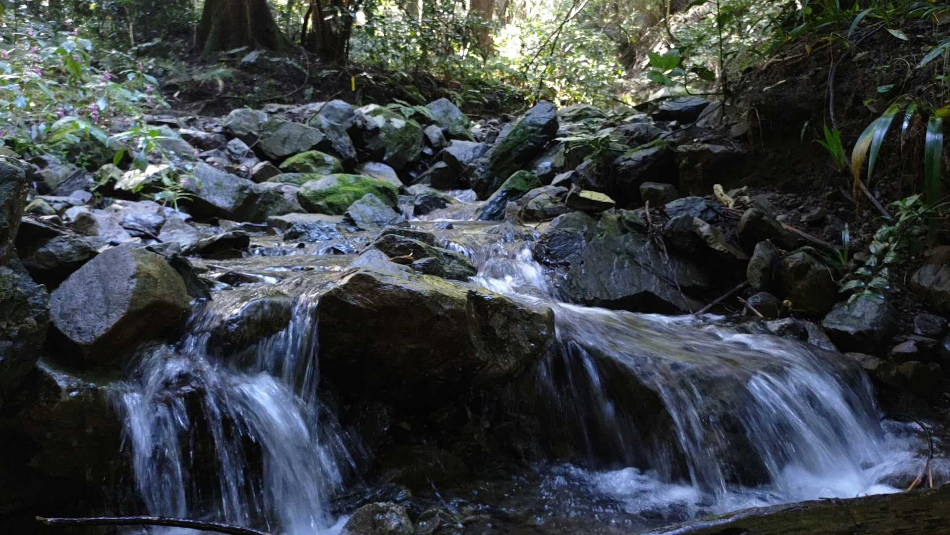水がとっても冷たかったので手拭いを濡らして