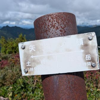 え〜、矢場の頭に到着⛰️✨️