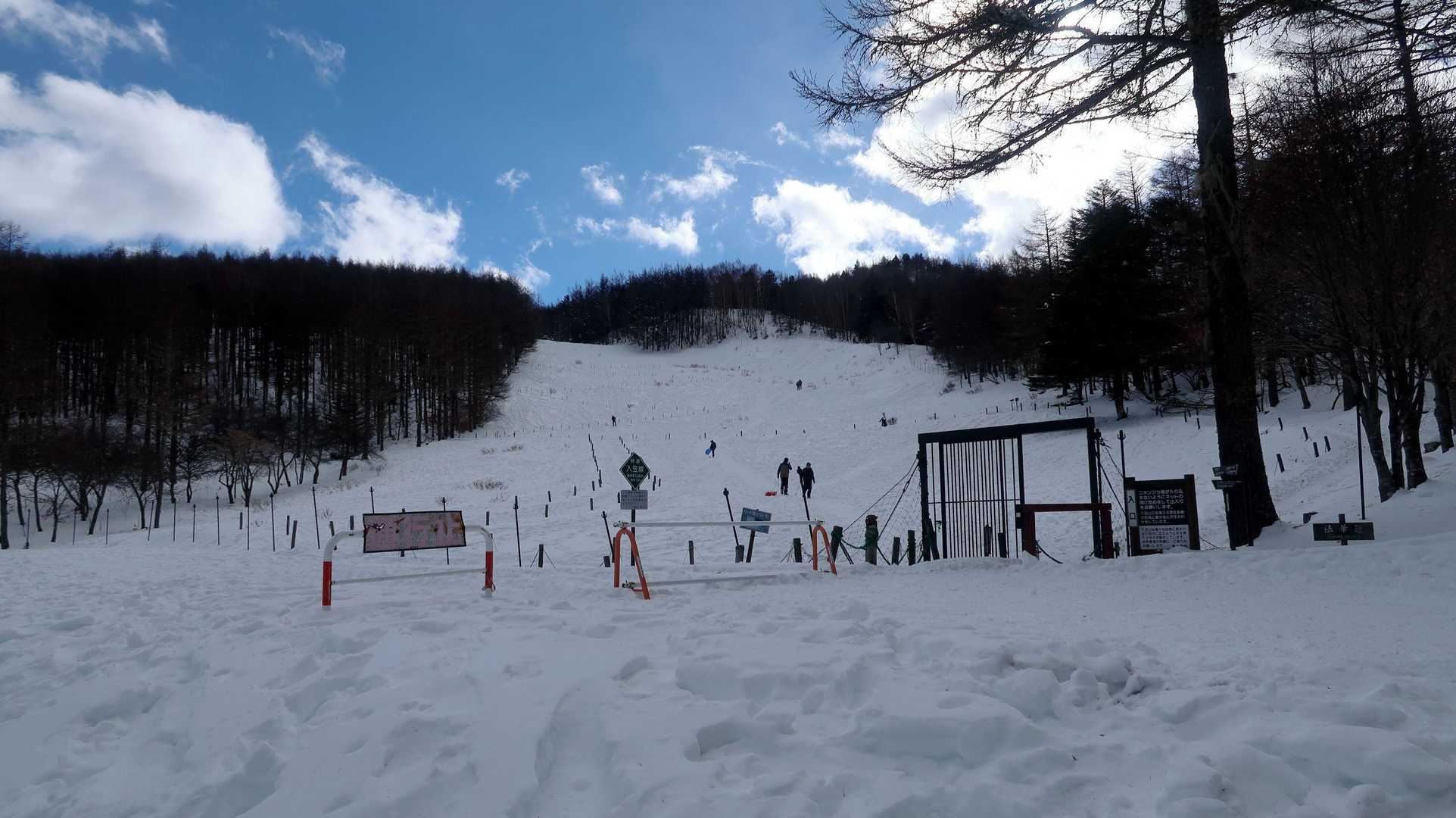 ココからが本番