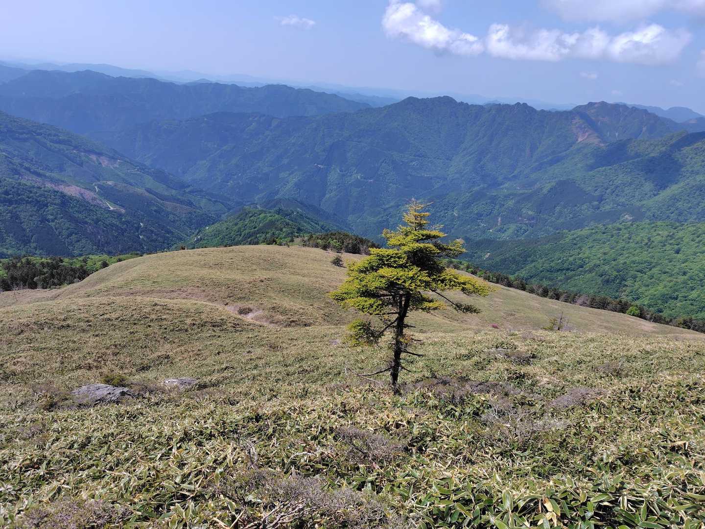 大永山トンネル口-大坂屋敷越-獅子舞の鼻-ちち山 往復コースの写真