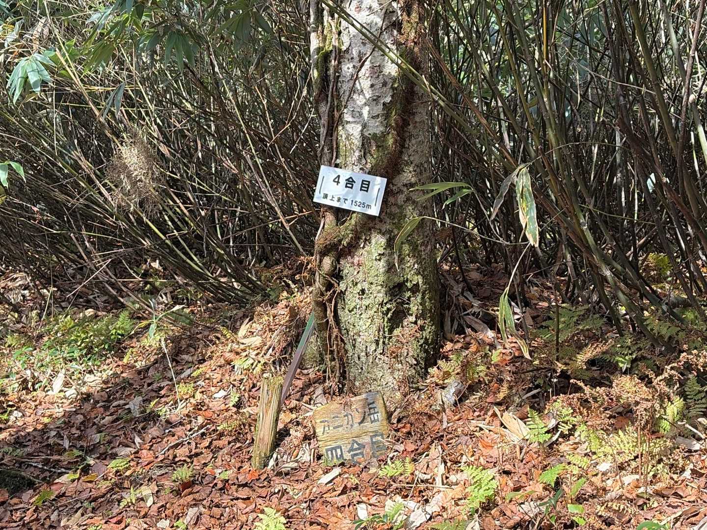 四合目までがとても長かったです

サラ「この感じ雄阿寒岳みたいね」

不思議〜🤔
