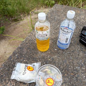 お昼ご飯は、セブンイレブンで買ったものたち。