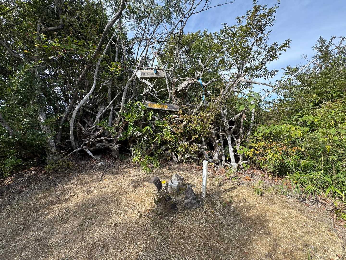 鷹丸山到着
噂の木のオブジェ