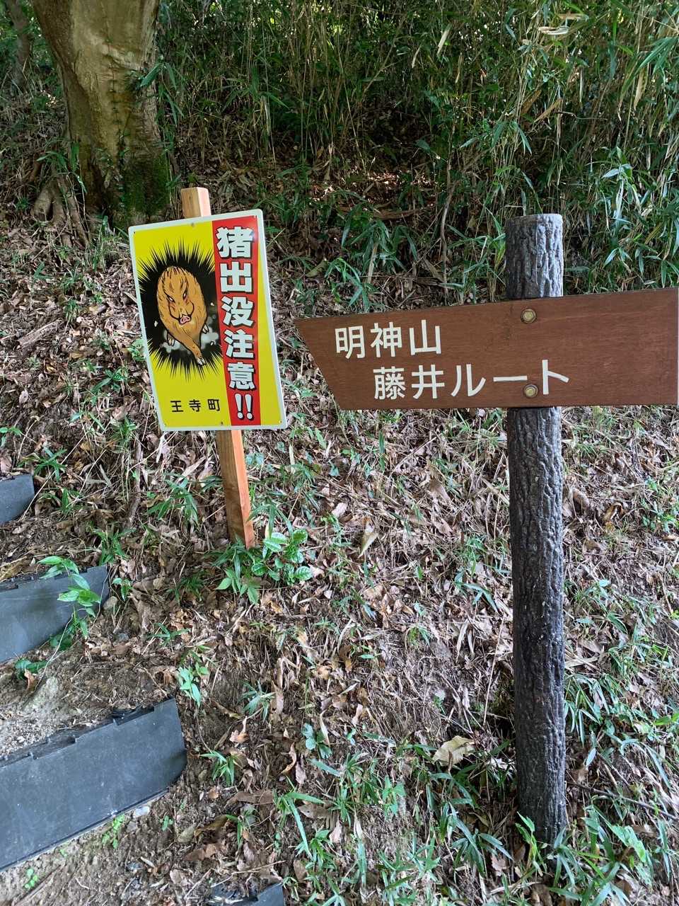 安心安全の藤井ルートから