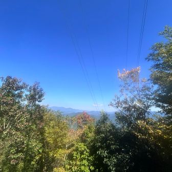 ここは富士山見えるはずなのだけど、、、
見えない。
え？見えてないよね？
こんなに晴れてるのにぃ〜