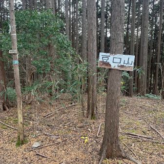 ピークハントする為に豆口山に
奥武蔵トレイルの道は下の道で巻道になってます