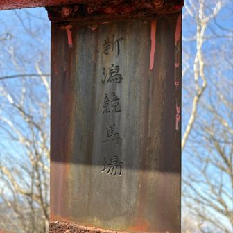 帰りに鳥居⛩の裏を見ると
新潟競馬場？😅