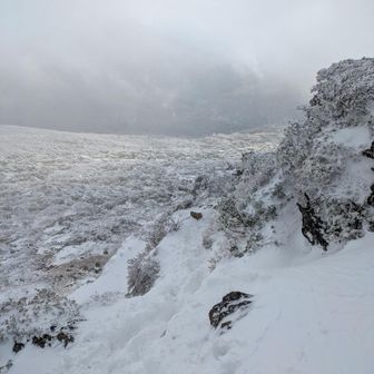 山頂で晴れ間を待ってたらキタぞ！