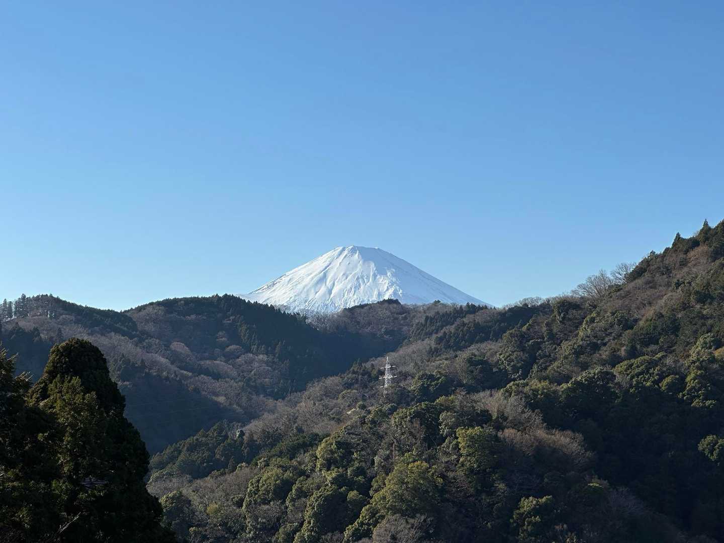 見納め