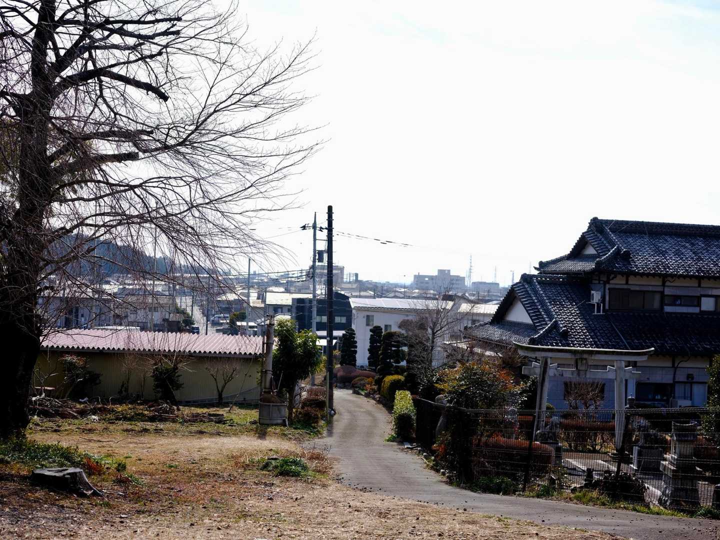 大好き舗装路