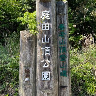 ここまではまだ余裕あったかな？